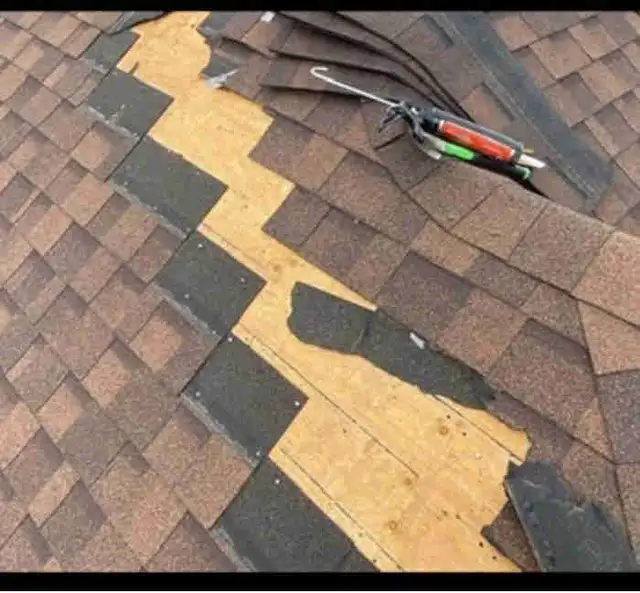 Roof Repair & Shingle Replacement ( gutter cleaning)