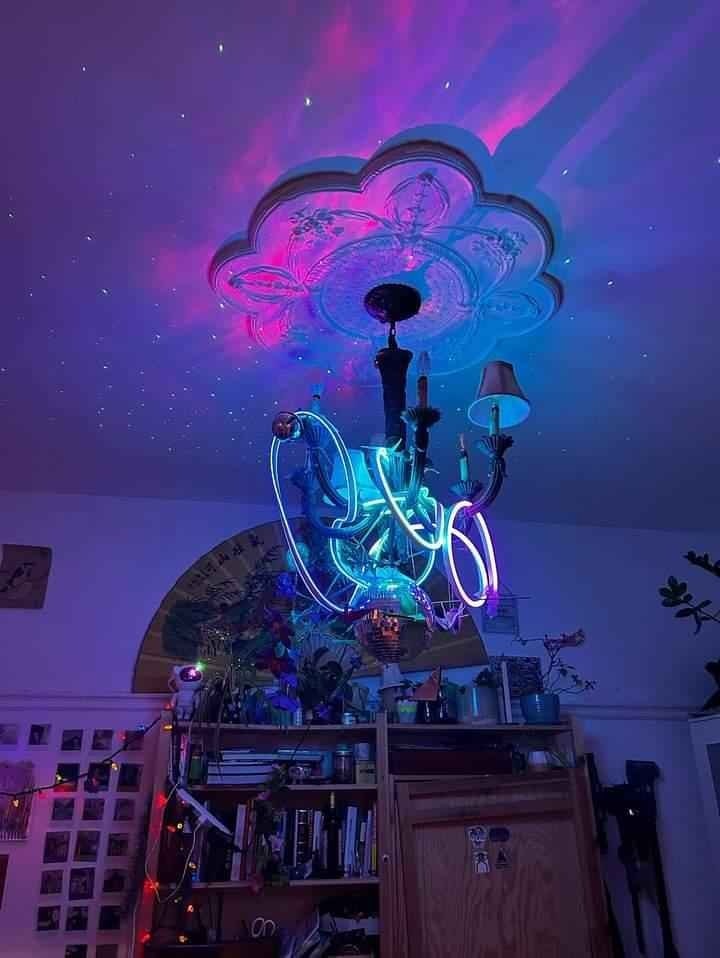 Room available in fun, social house! — photo 1