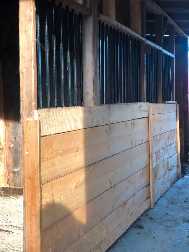 350$ stalls with indoor ready this winter available for board in Horses & Ponies for Rehoming in Bedford - Image 7