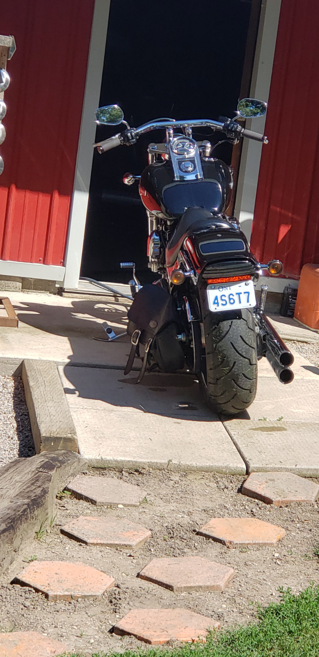 2007 Softail in Cars & Trucks in Grand Bend