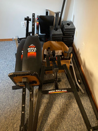 York Mega Max 3001 total gym