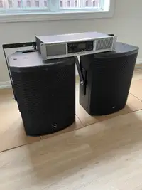 2 Tannoy speakers + QSC amp