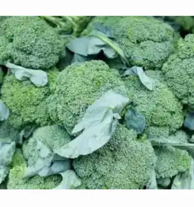 Broccoli seeds , View more