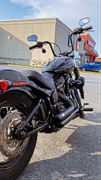 2019 Harley Davidson Street Bob