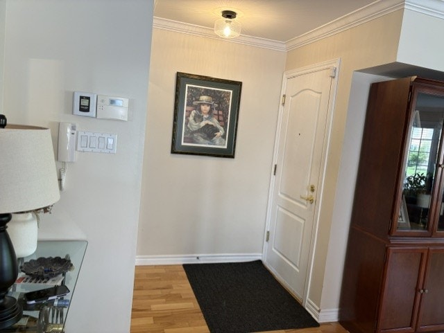 Beautiful Condo for Rent — photo 1