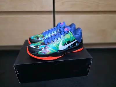 Kobe 5 eybl size 8, View more