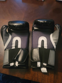 Everlast 16oz Boxing Gloves