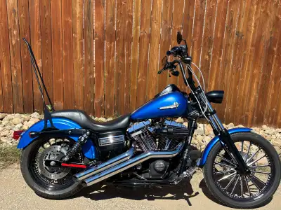 2007 Harley Davidson Street Bob - Screamin’ Eagle 110CI Motor Upgrade - Screamin’ Eagle EFI Race Tun...