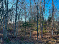 Looking to build? Land for sale on North River Road!