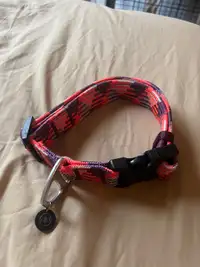 medium dog collar 