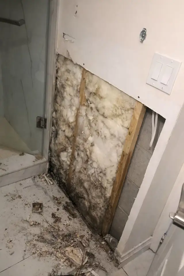 PAINTER | DRYWALL REPAIR | HANDYMAN & HOME RENOVATIONS – OSHAWA