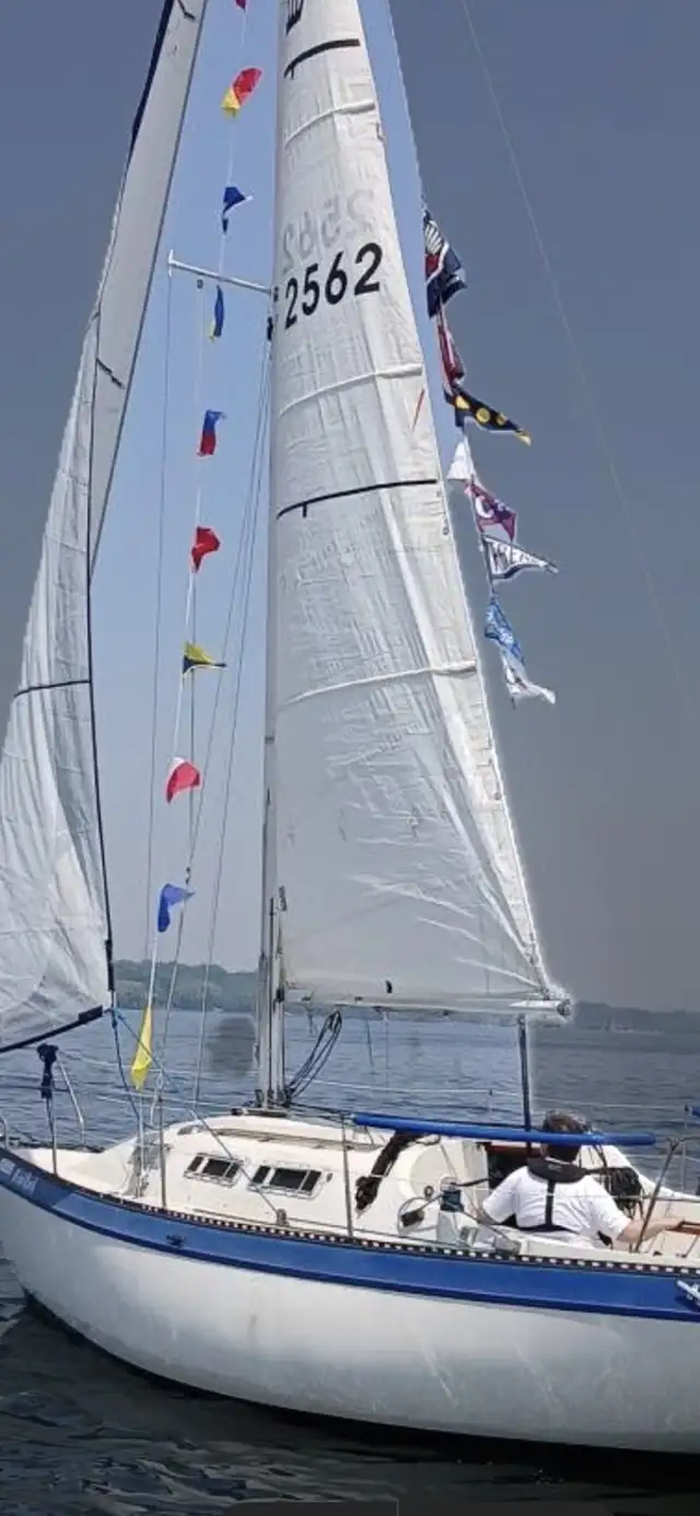 CS 27 “Windhawk” Sailboat in Sailboats in Hamilton - Image 5