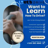 Affordable Excellence: Professional Driving Instructors