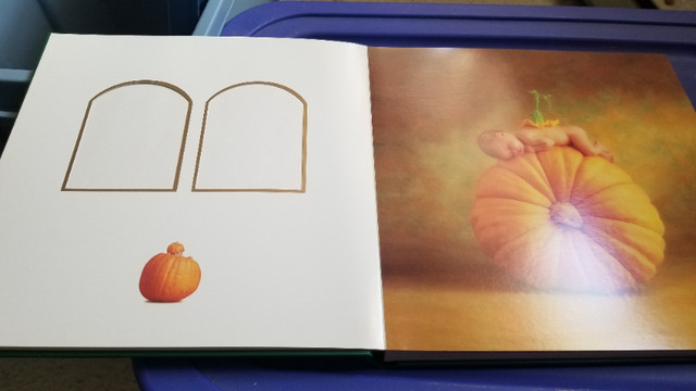 Anne Geddes photo album new price in Hobbies & Crafts in Cole Harbour - Image 2