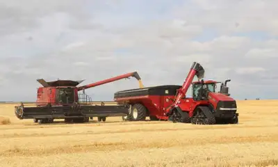 Im looking for farm work next summer full time near maymont sk, View more