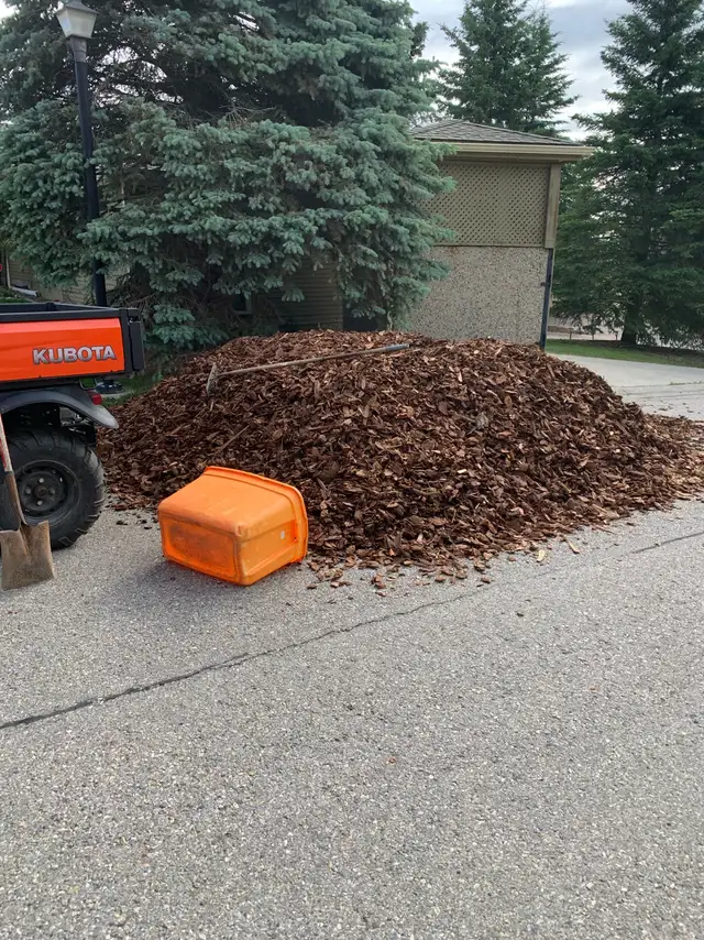 Full Service Landscaping Services 547959415180503042