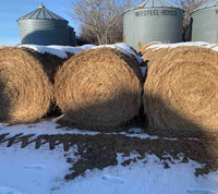 Round hey bales approximately 1375 lbs./625 kg. 