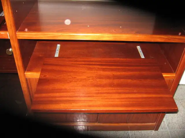 Beautiful Rosewood Wall/Entertainment Unit in TV Tables & Entertainment Units in Markham / York Region - Image 7