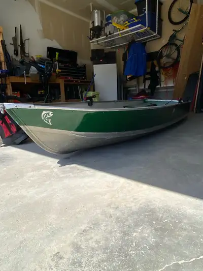 12ft princecraft aluminum fishing boat. 75 mercury electric start motor, fish Finder, gas can, seats...