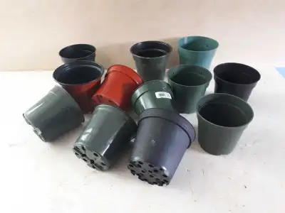Looking For used plant pots., View more