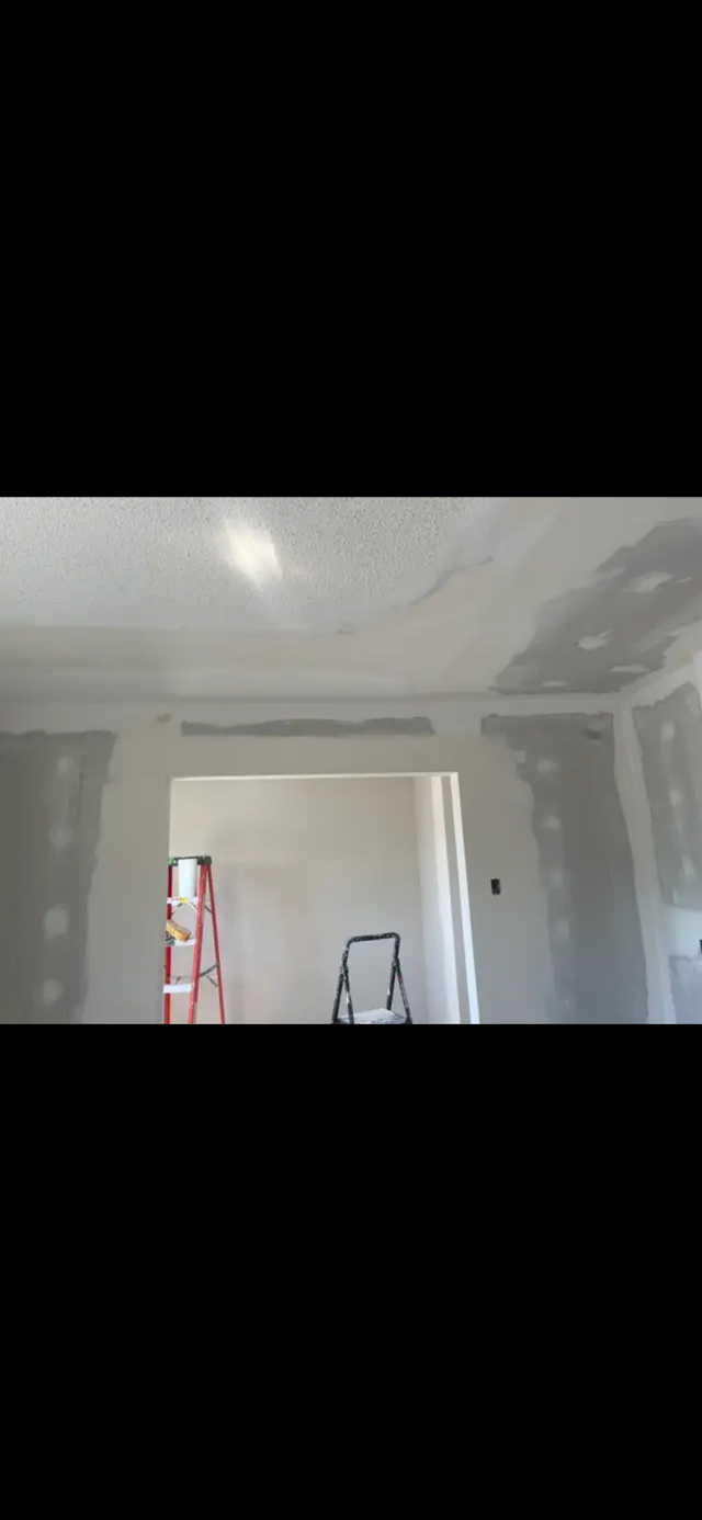 Handyman/Carpenter516248339691622408