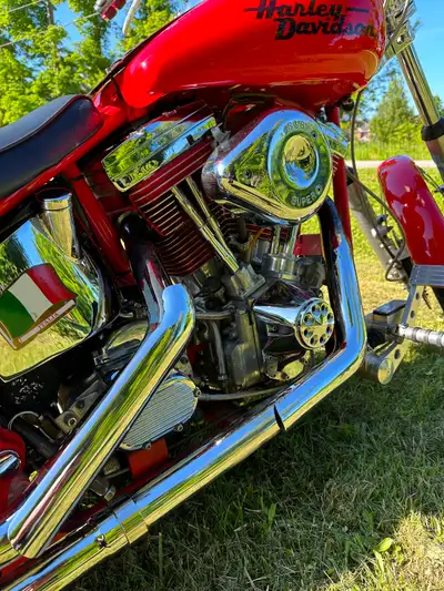 1995 Harley Davidson soft tail motorcycle Selling my 1995 Harley Davidson soft tail motorcycle. The...