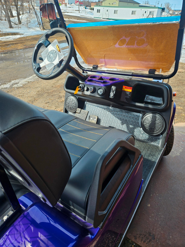 2024 Hdk Classic 2 Electric Lithium Golf Cart and Street Machine in Golf in Saskatoon - Image 4
