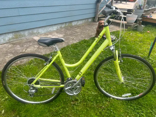 ***Vélo femme OPUS MONDANO 24 vitesses in Cruiser, Commuter & Hybrid in Longueuil / South Shore - Image 7