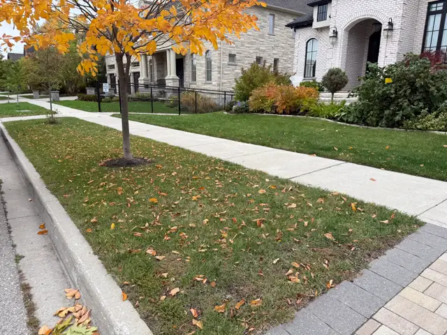  FALL YARD CLEANUP SERVICES 