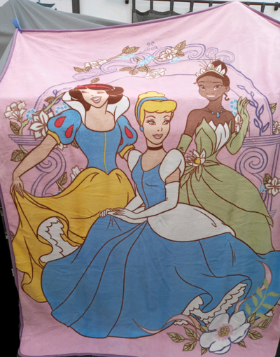 Couverture Disney les princesses , Blanche Neige , cendrillon .., View more