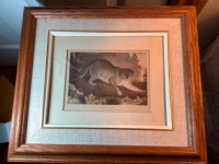 1928 Hand Coloured Etching of a Cougar “Early American Hunter”