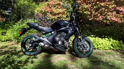 2014 Kawasaki ER6M. Original owner ,12,000 km. 650 cc,fuel injected ,water cooled 6 speed. Stainless...