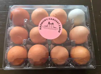 Organic eggs available 7$ per dozen. Pick up in uxbridge.