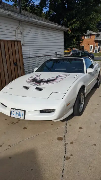 Classic Americam muscle car with performance! 1991 Pontiac Trans Am Engine/Transmission: 5.0L V8, au...