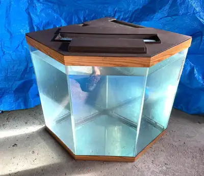 50 Gallon Fish Tank with Canopy, View more