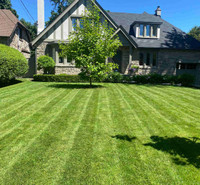 CHEAPEST LAWN CARE PRICES IN GTA