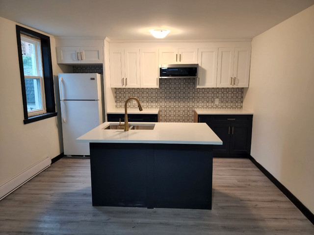 Old East Hill-2Bed, Renovated, Laundry in Unit, INCL Heat & A/C in Long Term Rentals in Belleville