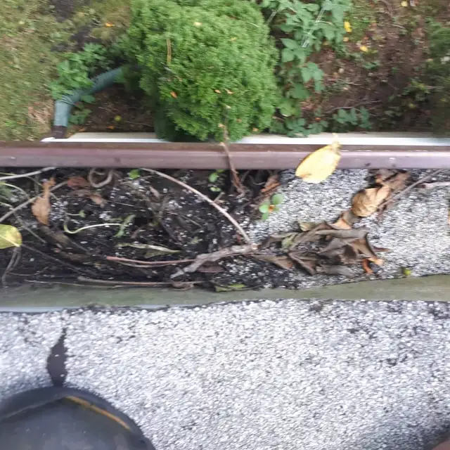 Gutter and Window Cleaning560187903627110405