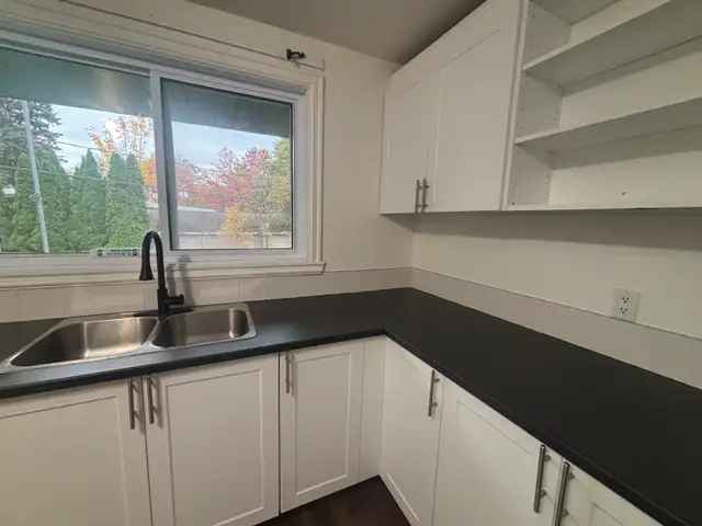5 1/2, Ste-F Street, Unit 1000 P2, Parking and Dishwasher