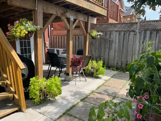 2 Bed  Legal Walkout Basement Apartment for lease in Orangeville in Long Term Rentals in Oakville / Halton Region - Image 3