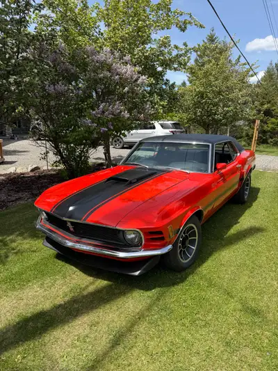 Head-Turning 1970 Ford Mustang Coupe 302 V8, automatic. This striking 1970 Ford Mustang Coupe perfec...