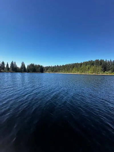 My husband, son and I are moving from Alberta to Campbell River and Area. We are both working remote...