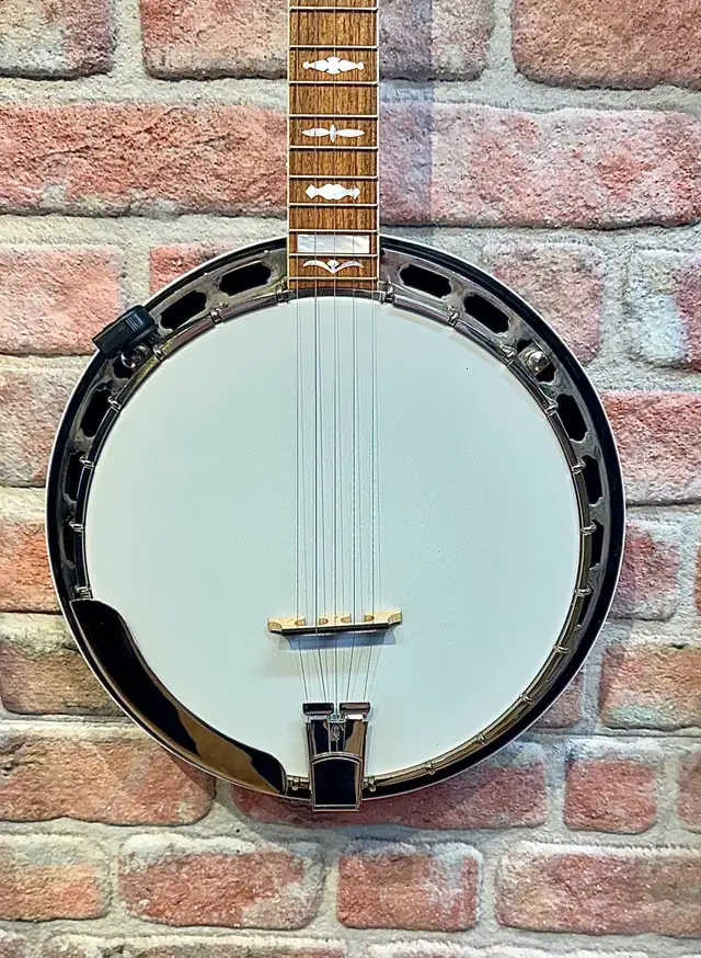 Gold Star 100JD Banjo -  The Blurgrass Album - 2019