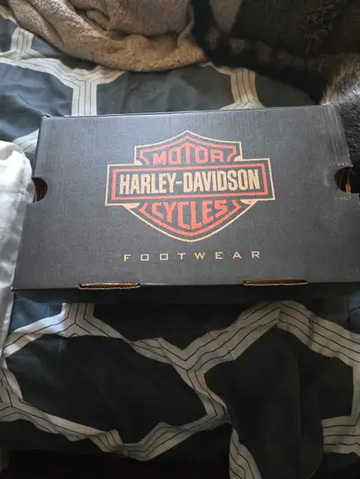 Harley Davidson women's boots. Never worn