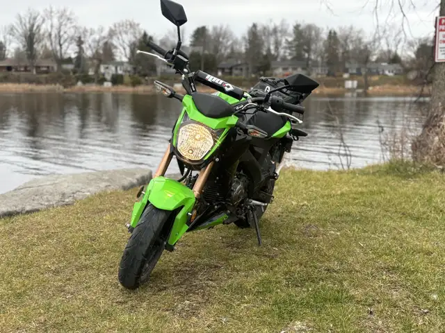 z125pro! in Street, Cruisers & Choppers in Ottawa - Image 7