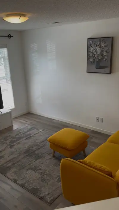 Handyman / Renovation Services – floor installation, painting, View more