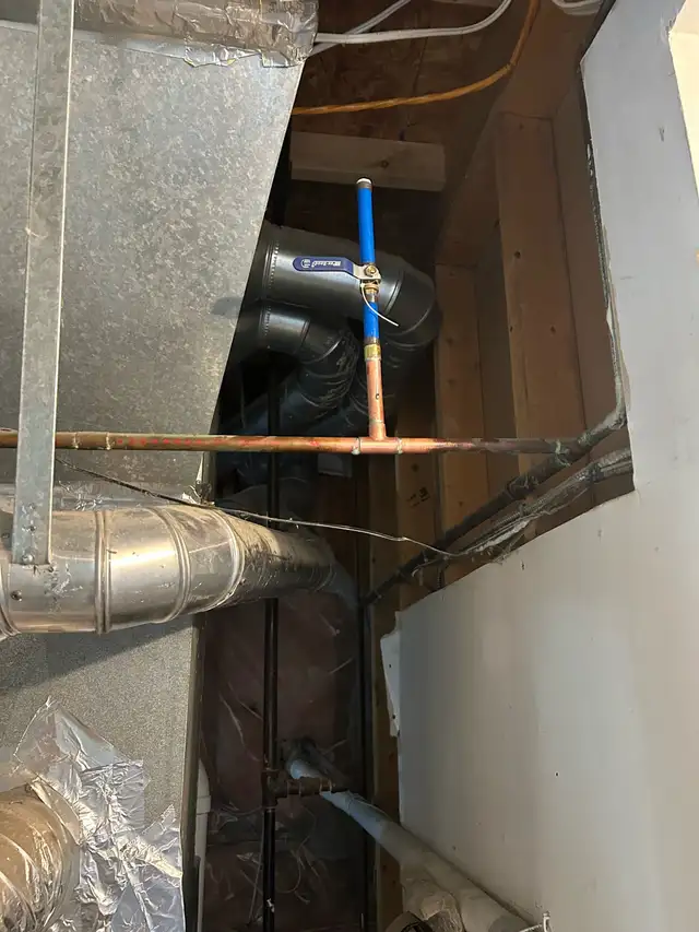 Local Plumber404850782744750084