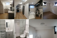 Legal Apartment in Basement for Rent