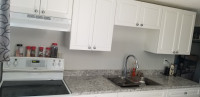 2 bed 1 bath Basement Suite - Centrally Located