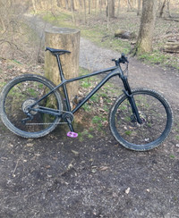 NS eccentric mountain bike 29 Size L